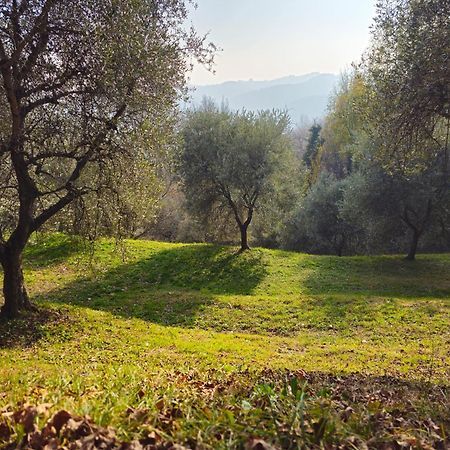 B&B Ca'Baracca Bellavista Басано дел Грапа Екстериор снимка
