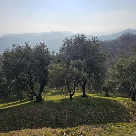 B&B Ca'Baracca Bellavista Басано дел Грапа Екстериор снимка